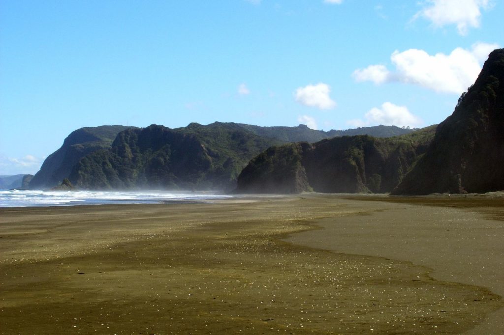 Gibbons Track Walk In Waitakere Ranges, Auckland By Freewalks.nz