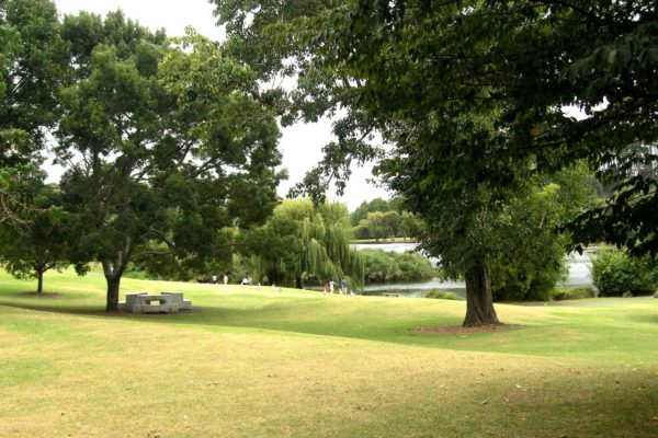 Western Springs Park Lake Walk | Auckland Walks | Free walk in Auckland