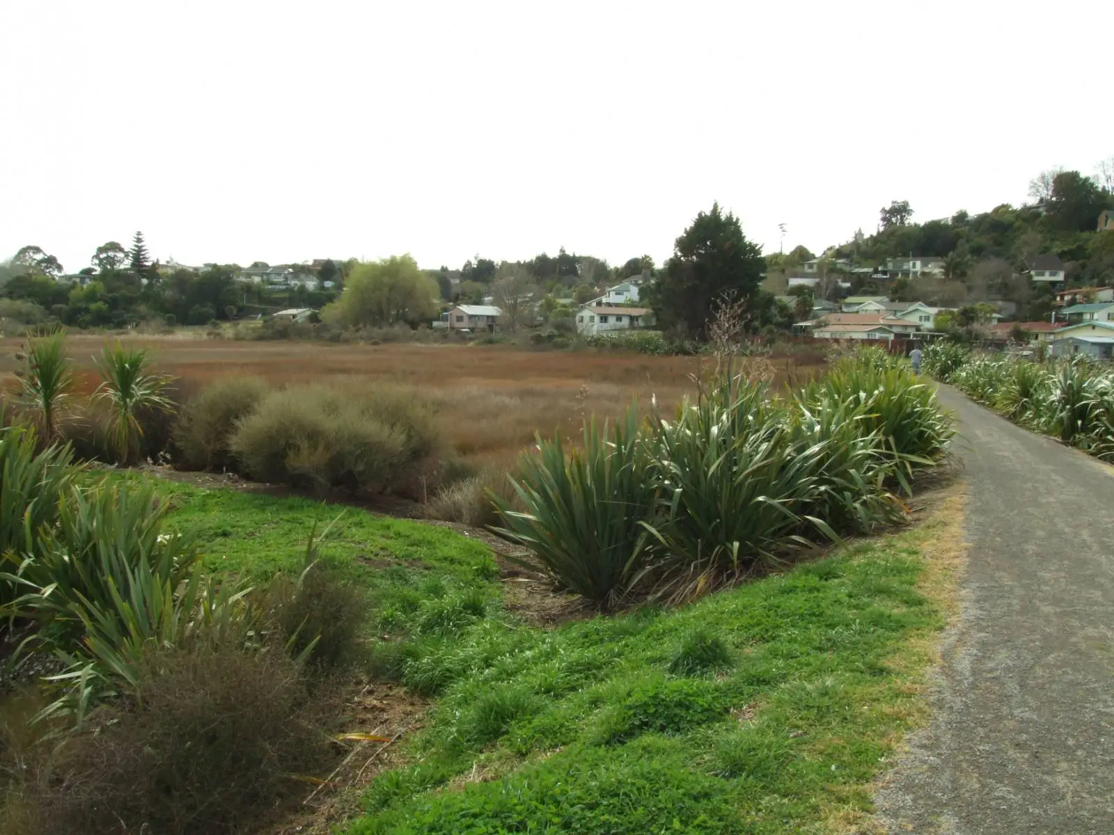 Sealed path through native plantings with open wetland and Brookfield suburb in the background, Gordon Carmichael Reserve