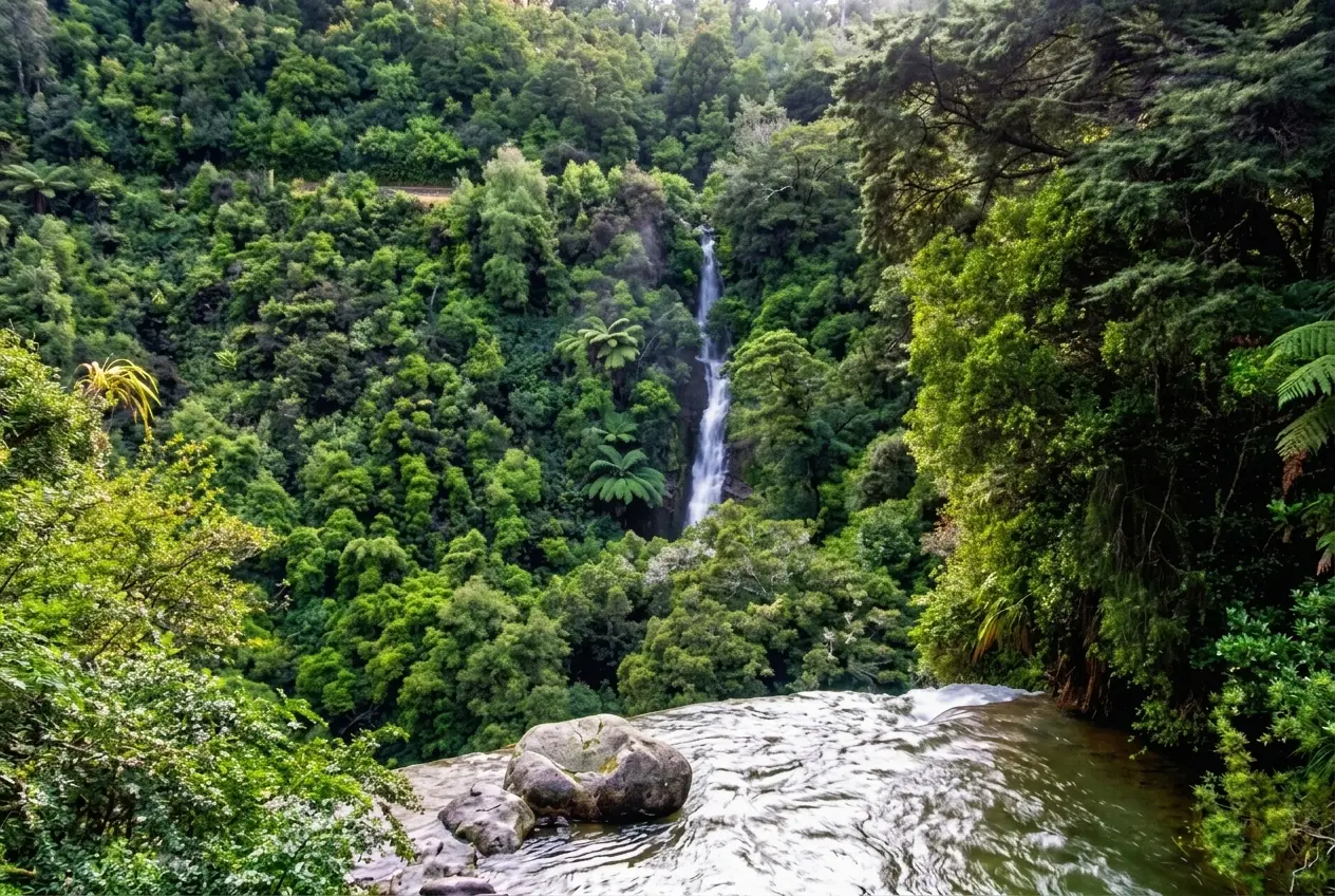 Mokau Falls Walk on the Lake Waikaremoana Road