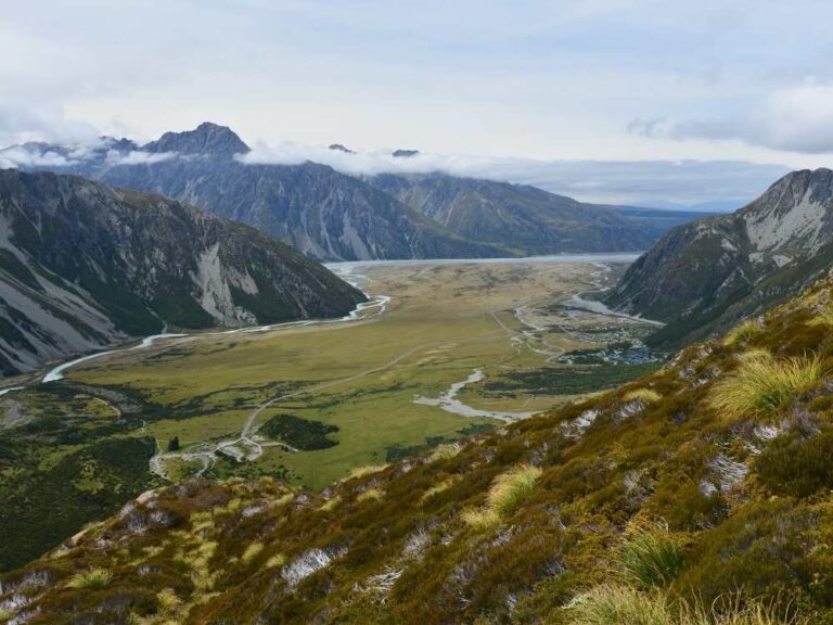 Tuahu Track Walk to the Summit of the Kaimai Ranges, by Freewalks.nz