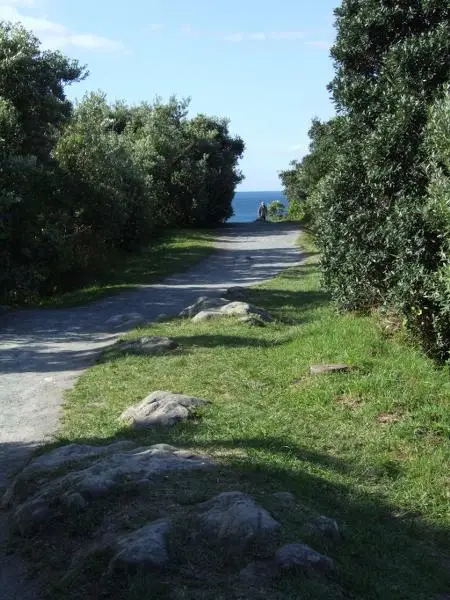 Walkers on the track through coastal scrub on Moturiki Island (Leisure Island), Mt Maunganui