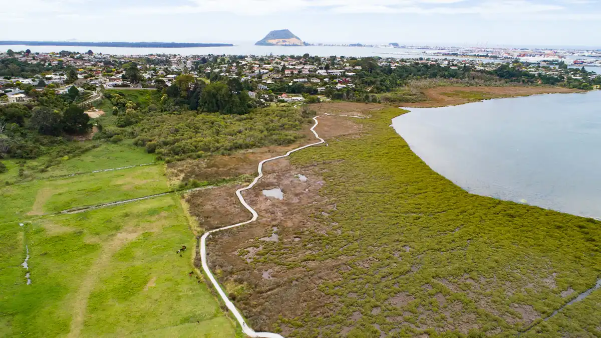 Waikareao Estuary walkway winding across the mudflats with Mount Maunganui in the distance, Tauranga