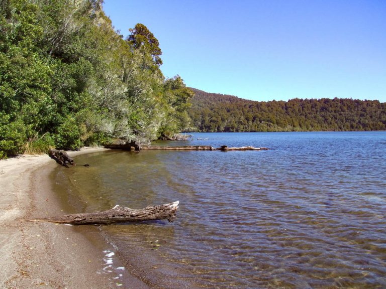 The best walking & hiking tracks in Turangi | North Island