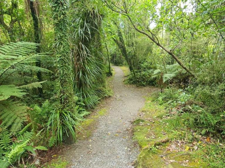 South Island Walks & Hiking Guide by Freewalks.nz