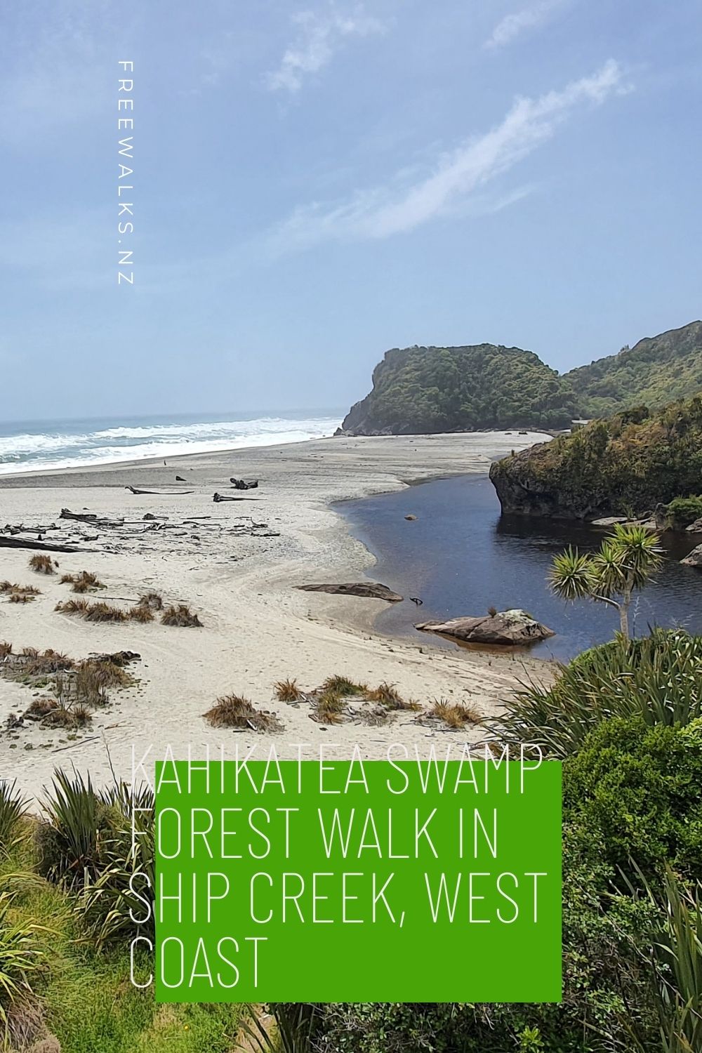 Kahikatea Swamp Forest Walk at Ship Creek | Freewalks.nz