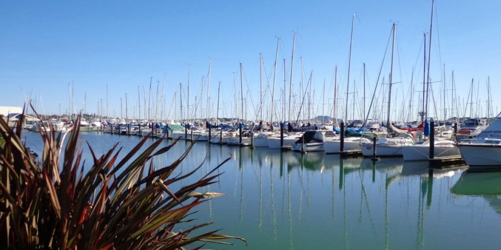 Looking at the boats in Half Moon Bay Marina in East Auckland