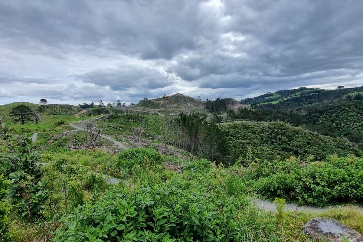 Waihi-Beach-Trig-Walk-2