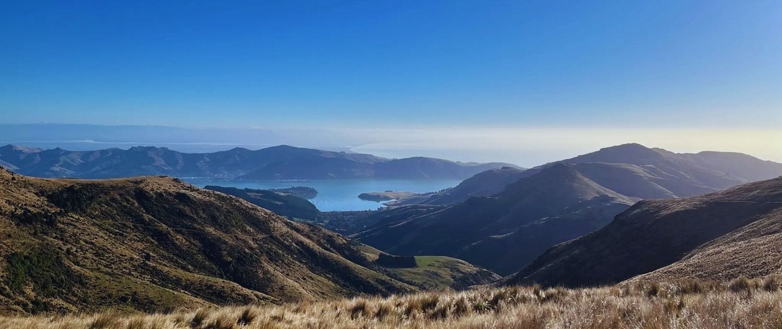 Mt Herbert via Monument Track
