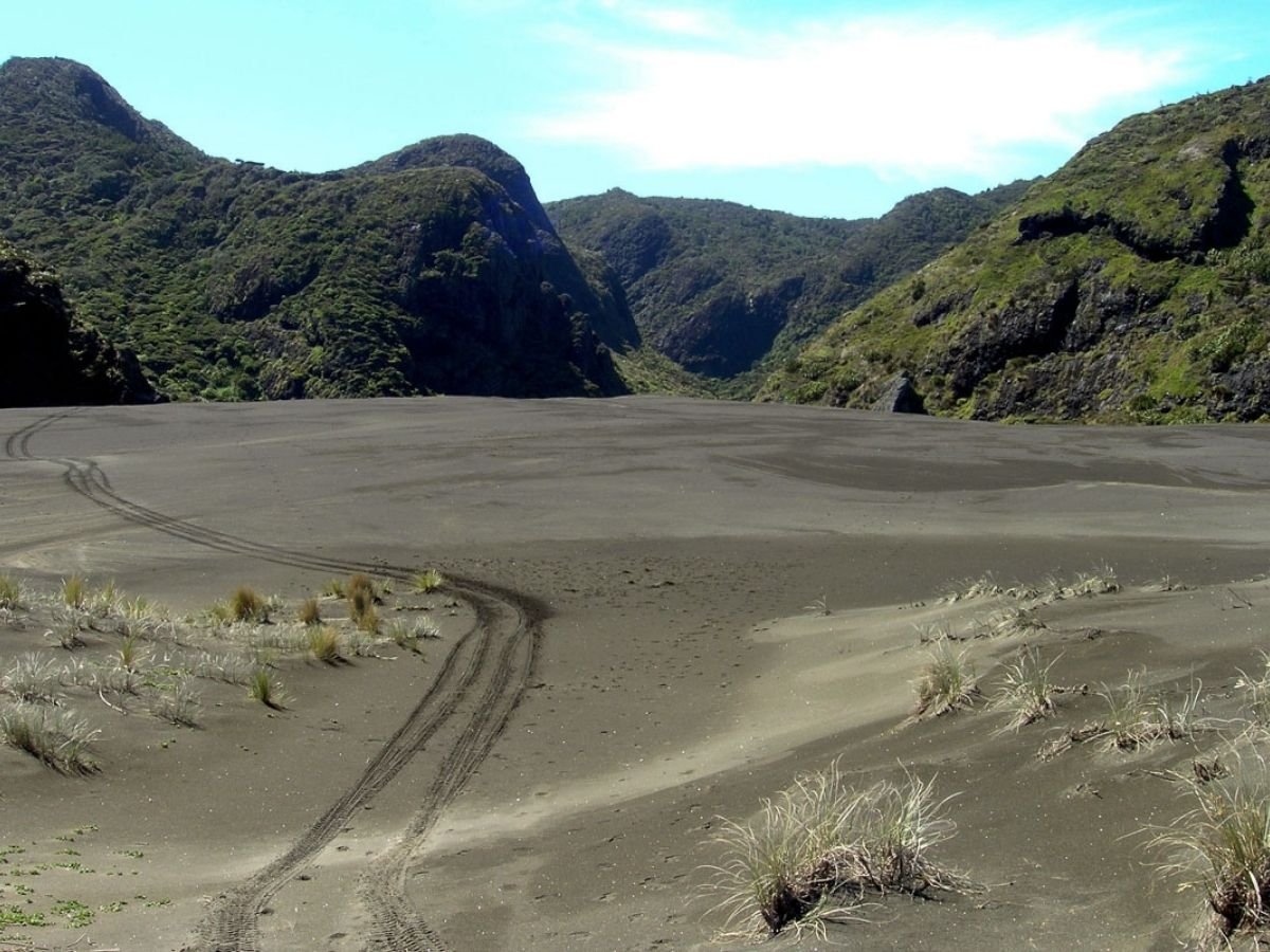 Zion Hill Track Loop Waitakere Ranges Auckland - The Dunes