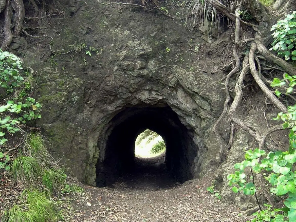Zion Hill Track Loop Waitakere Ranges Auckland - The Tunnel