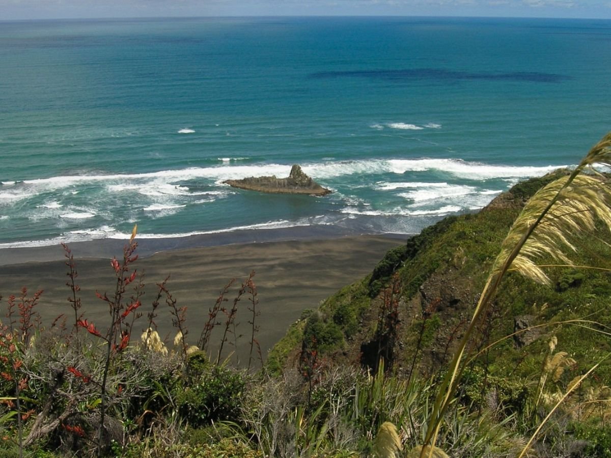 Zion Hill Track Loop Waitakere Ranges Auckland - Views of the beach