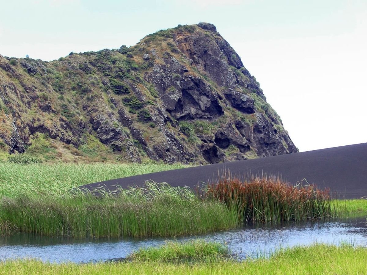 Zion Hill Track Loop Waitakere Ranges Auckland - Wetlands