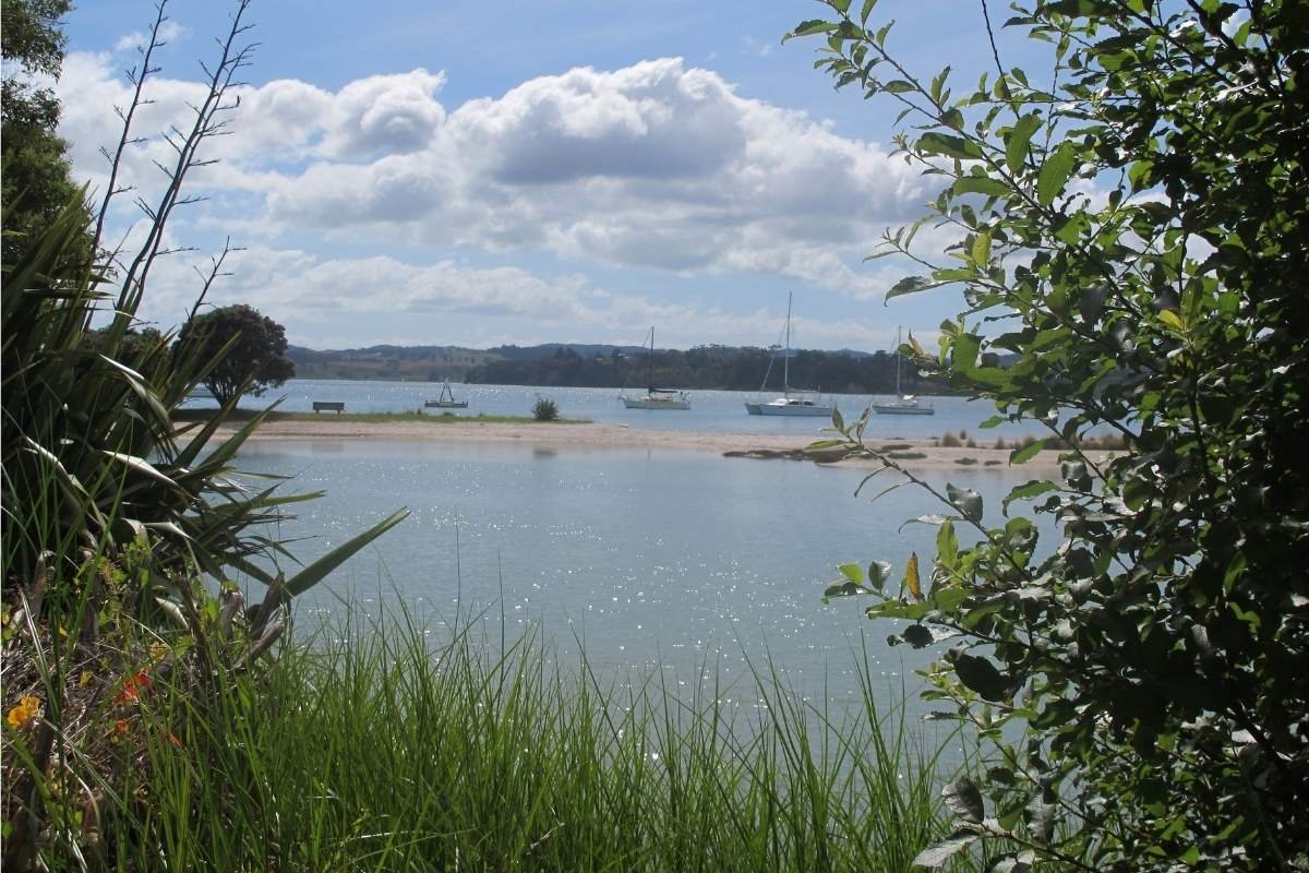 Mangemangeroa Reserve Walking Track in Auckland (3)