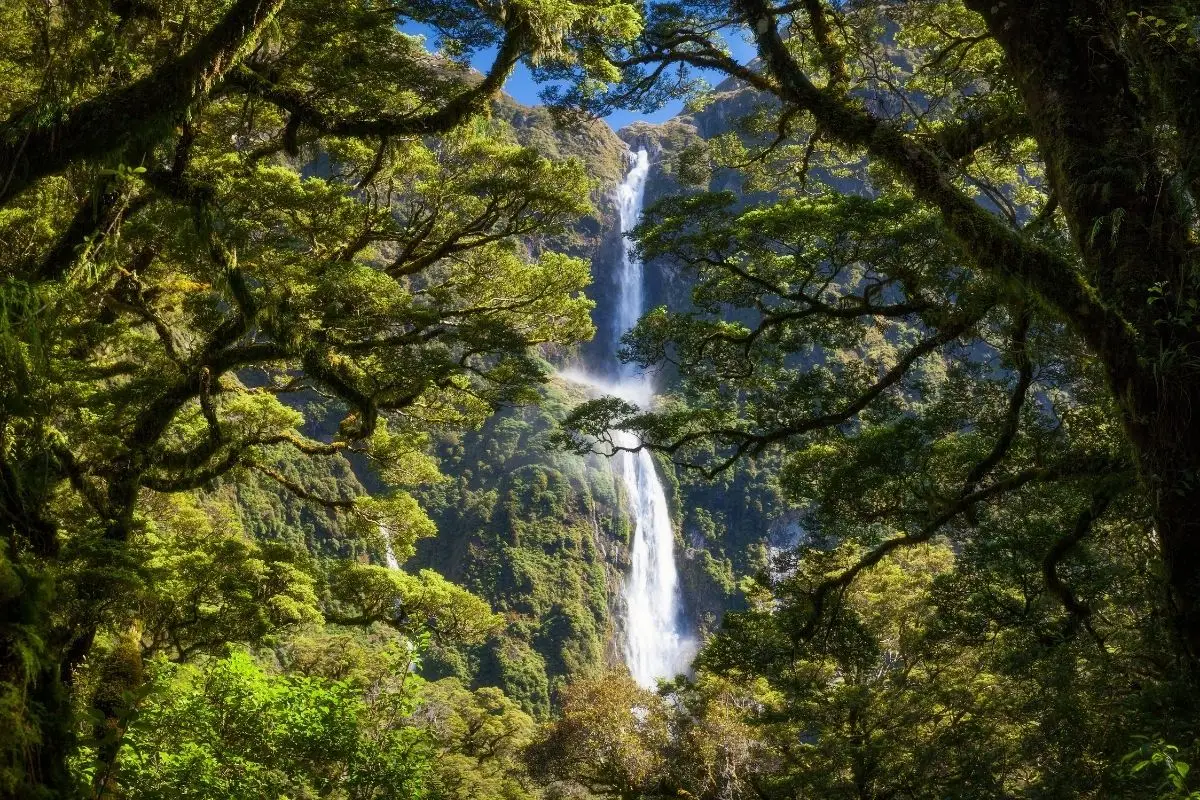 Sutherland Falls Milford Sound New Zealand