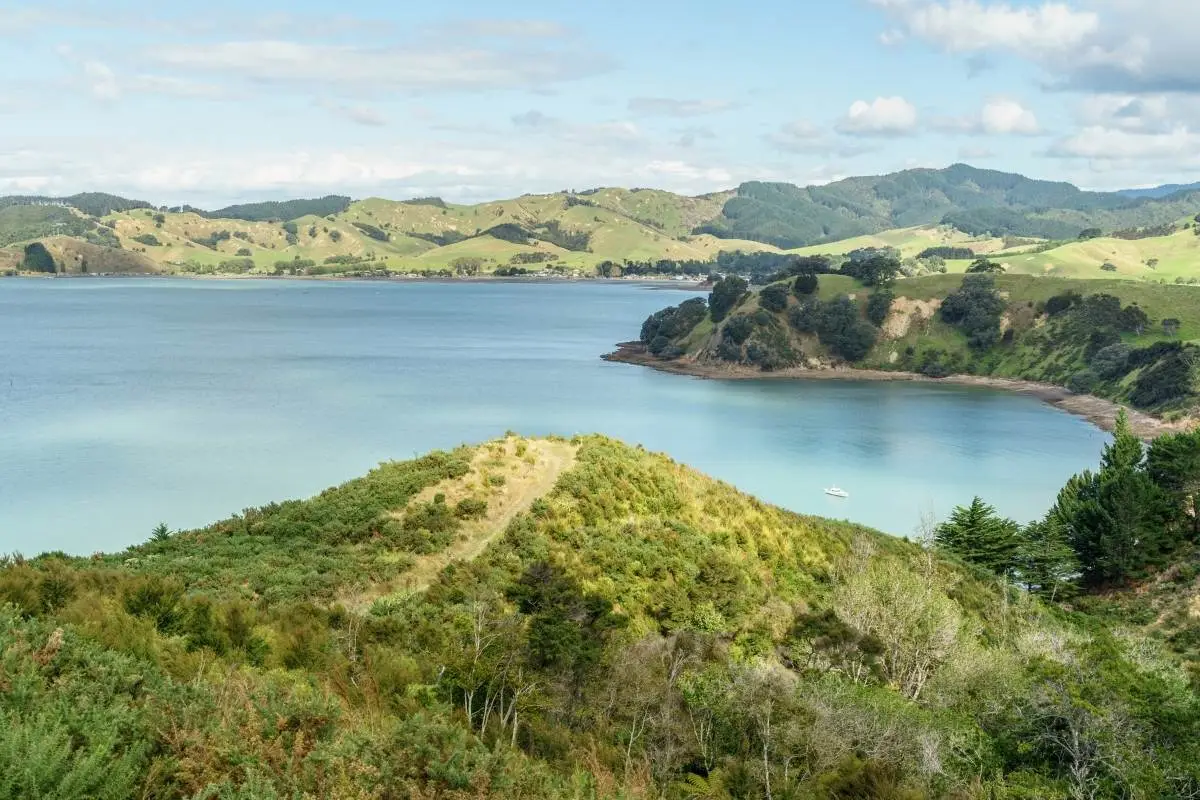 Kōtare Loop Walk in Waitawa Regional Park