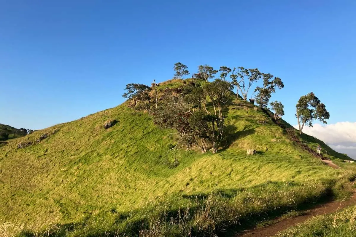 Mangere Mountain Loop Walk in Auckland