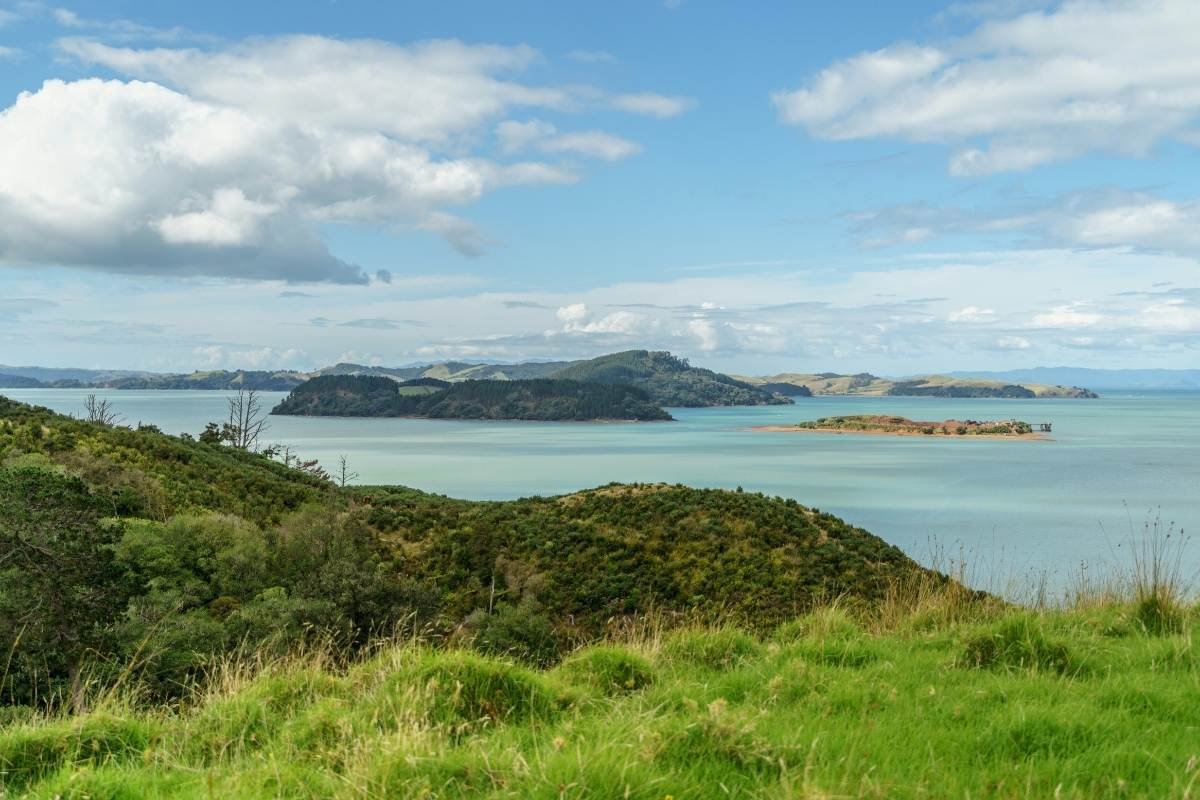 Pīwakawaka Loop Walk in Waitawa Regional Park