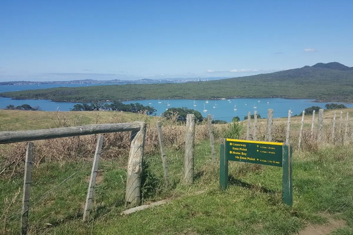 Motutapu Island