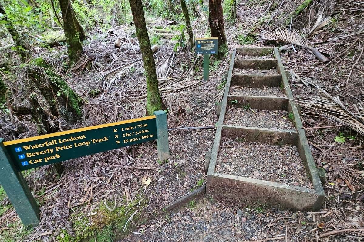 DOC yellow and green signpost showing directions to Waterfall Lookout, Beverley Price Loop Track and car park with timber steps