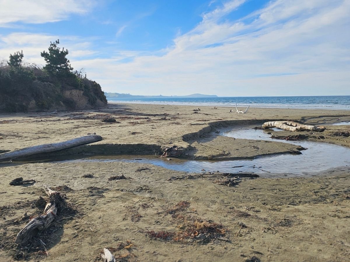 Koekohe Beach looking south toward Moeraki, mudstone cliffs and driftwood on the sand