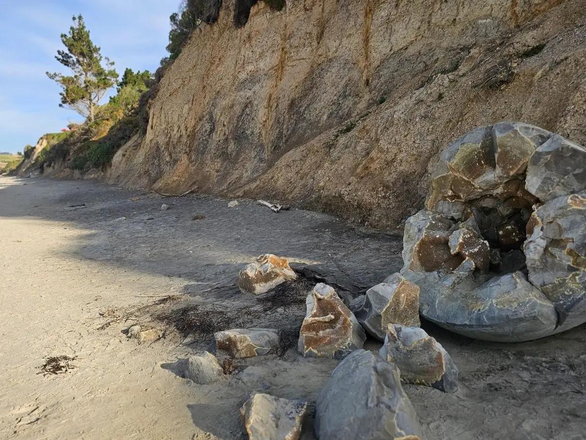 A broken Moeraki Boulder at the base of the mudstone cliff, showing the fractured interior