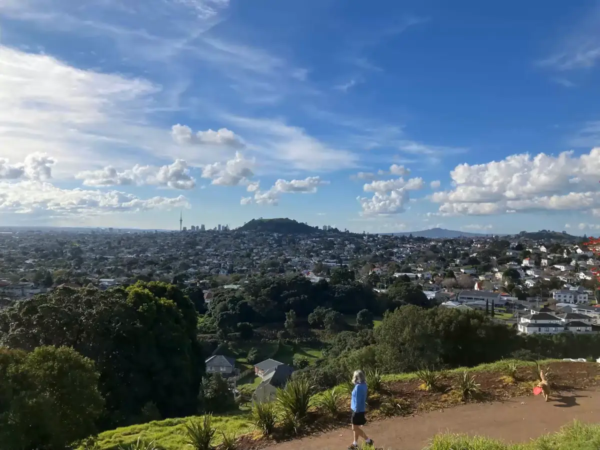 View across Auckland from the Big King summit