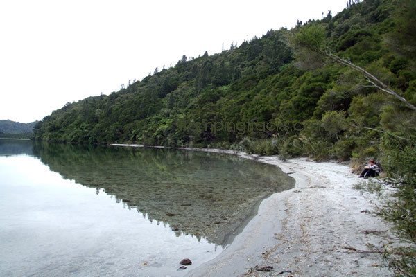 Lake Okataina Short Loop