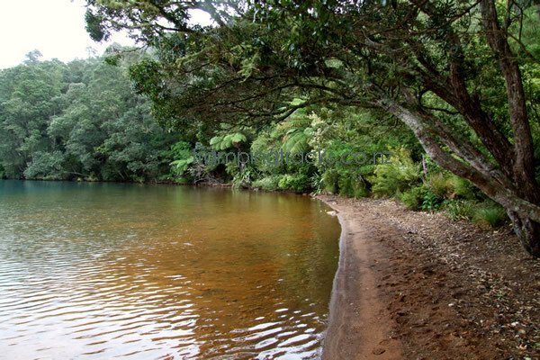 Lake Okataina Short Loop