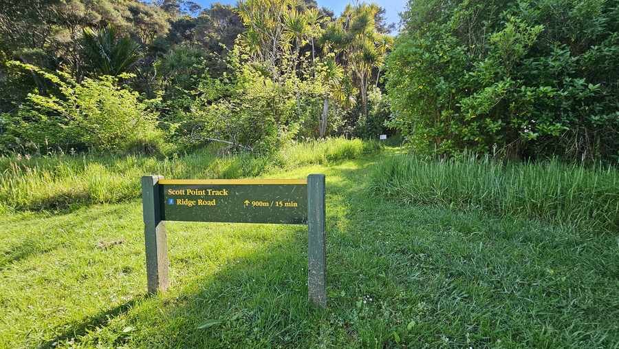 Scott Point Track walk in Mahurangi East