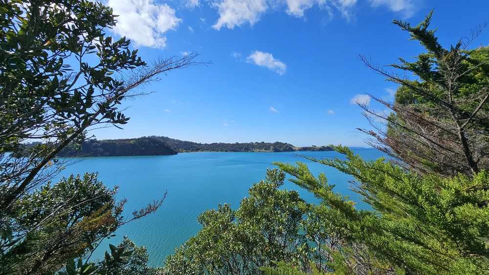 Scott Point Track walk in Mahurangi East