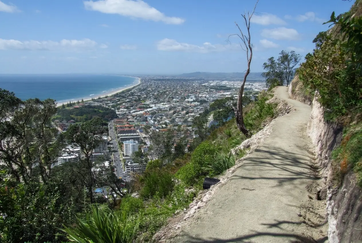 Track on the way to the summit of Mt Maunganui with the beach in the distance