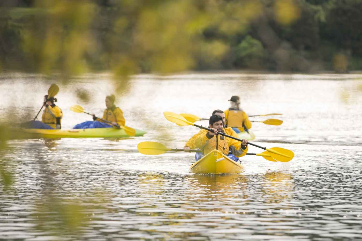 Daytime Canyon Kayak Tour