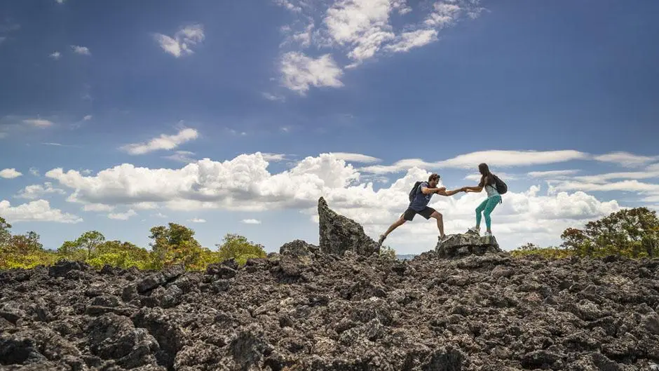 Discover Rangitoto Island: Fullers360 Ferry