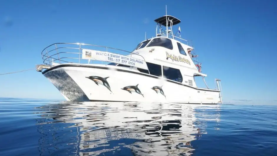 Dolphin Encounter and Wildlife Tours: Dolphin Seafaris