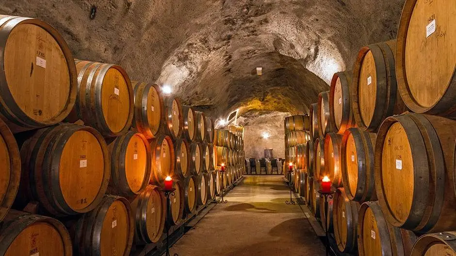Gibbston Valley Winery Tour