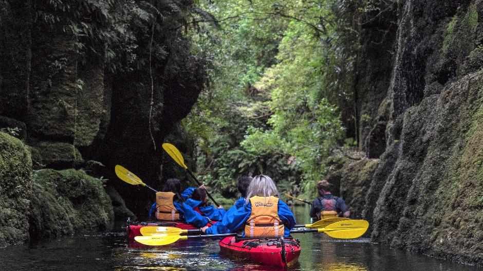 Scenic Lake McLaren Kayak Tour
