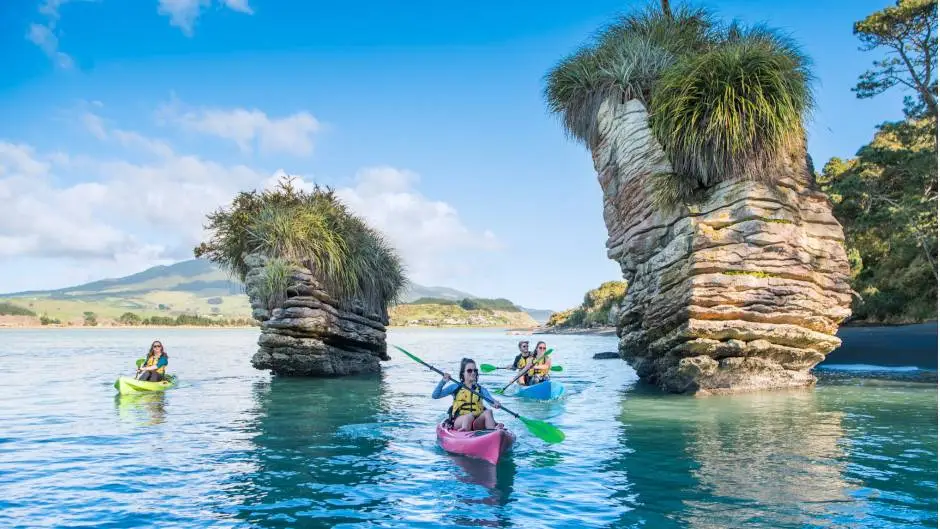 The Limestone Express Guided Kayak Adventure