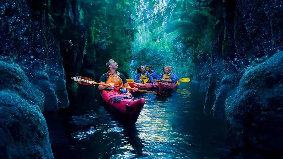 Waimarino Kayak Tours Evening Glow Worm Kayak Tour