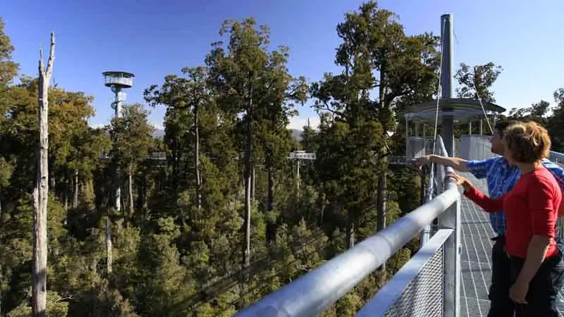 West Coast Treetop Walk