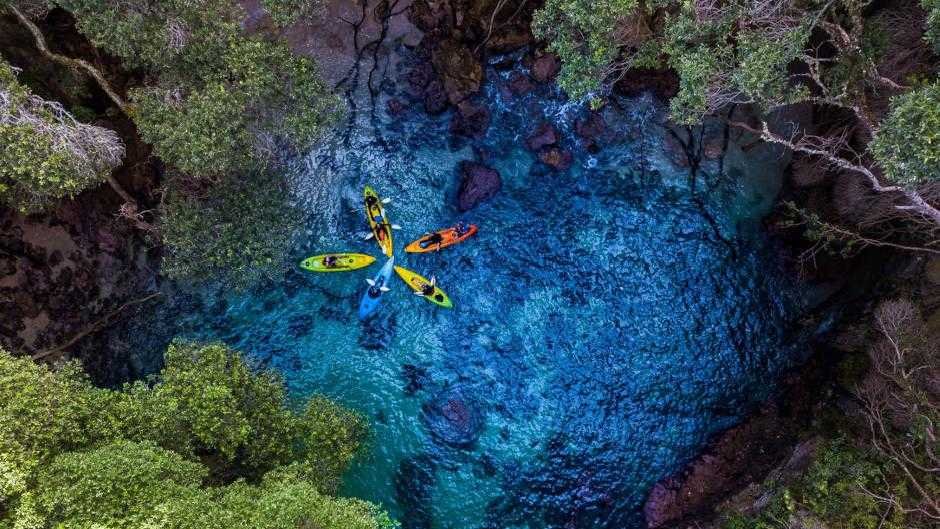 Donut Island Guided Kayaking Experience