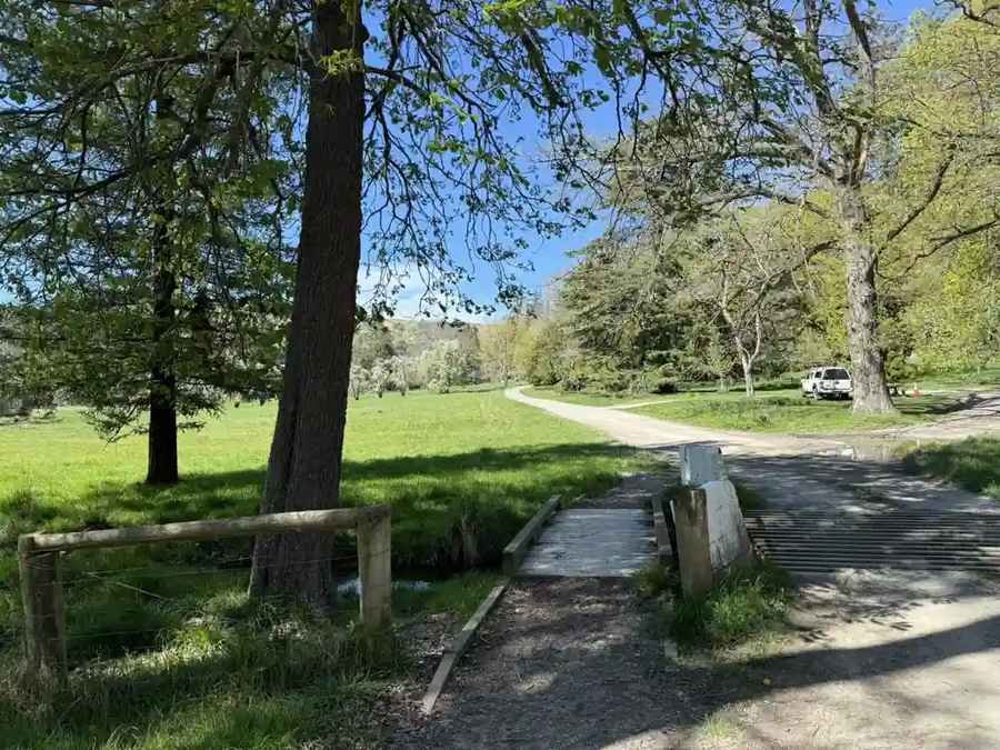 Cheviot Hills reserve footbridge cattle stop