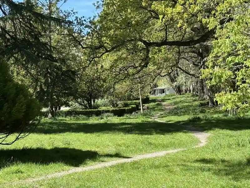 cheviot-hills-reserve-garden-path-cottage