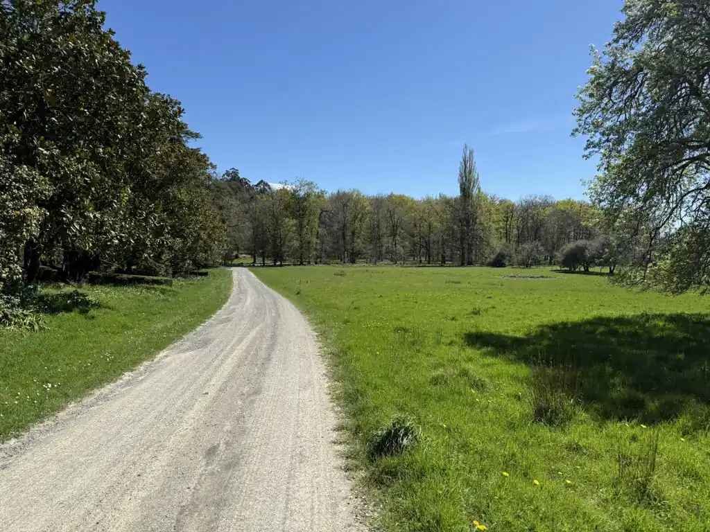cheviot-hills-reserve-gravel-road