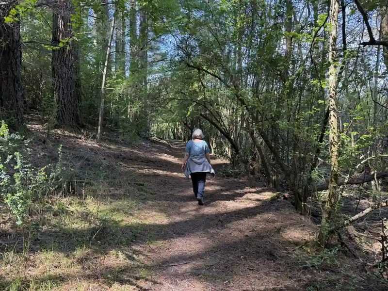 ready-money-trail-pine-needle-track