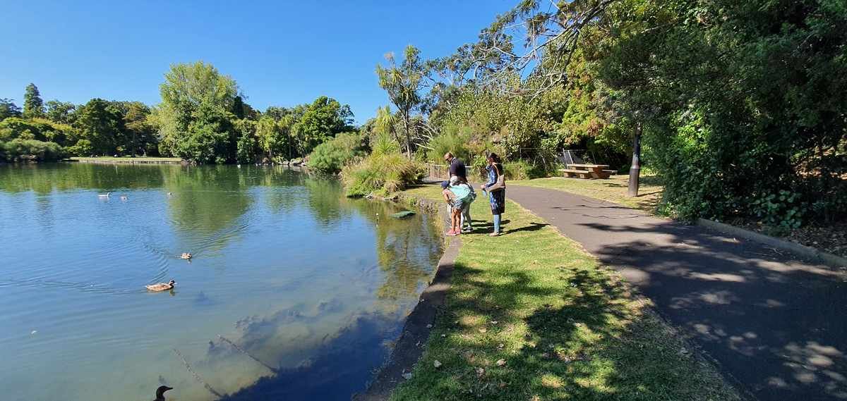 Walkers on the lakeside path at Western Springs Park